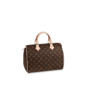 Women’s Louis Vuitton Monogram Speedy 30 Handbag